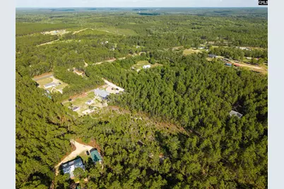 0 Pine Plain Road, Gaston, SC 29053 - Photo 5