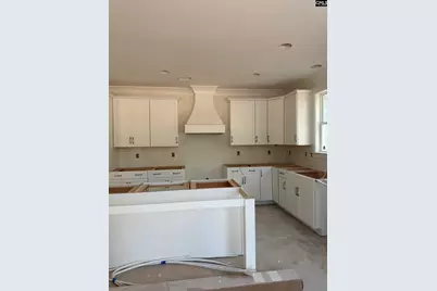 828 Elms Spinney Lane, Chapin, SC 29036 - Photo 5