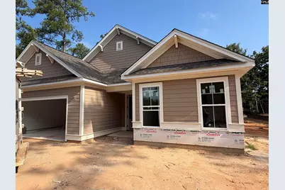 828 Elms Spinney Lane, Chapin, SC 29036 - Photo 3