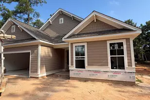 828 Elms Spinney Ln, Chapin, SC 29036 - Photo 3