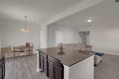 817 Plunge Pool Lane, Blythewood, SC 29016 - Photo 13
