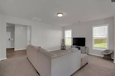 817 Plunge Pool Lane, Blythewood, SC 29016 - Photo 7
