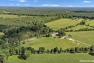 2640 Mt Willing Rd, Saluda, SC 29138 - Photo 47