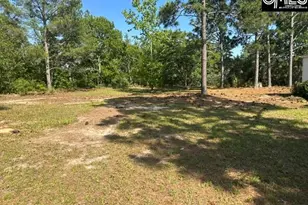 180 Deer Moss Trail, Lexington, SC 29073 - Photo 5