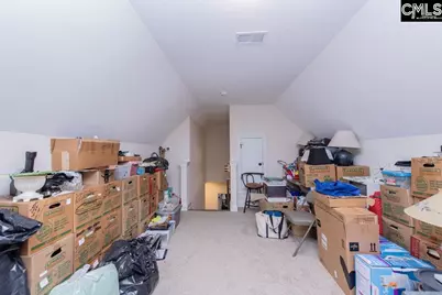 348 Congaree Ridge Court, West Columbia, SC 29170 - Photo 77