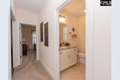 348 Congaree Ridge Court, West Columbia, SC 29170 - Photo 61