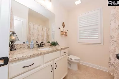 348 Congaree Ridge Court, West Columbia, SC 29170 - Photo 49