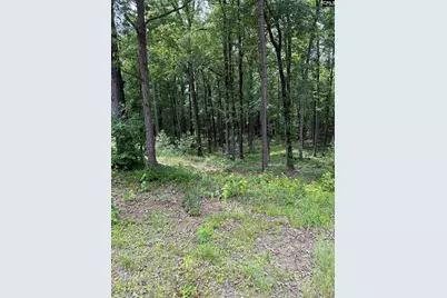 1409 Mullis Road, Blythewood, SC 29016 - Photo 3