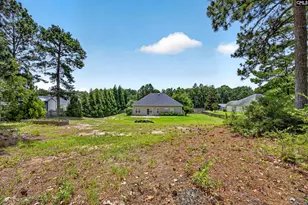 121 Farm Chase Dr, Lexington, SC 29073 - Photo 59