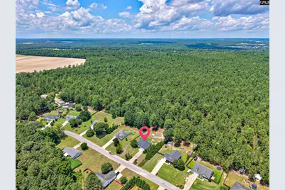 121 Farm Chase Drive, Lexington, SC 29073 - Photo 15