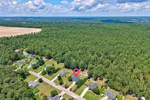 121 Farm Chase Dr, Lexington, SC 29073 - Photo 15