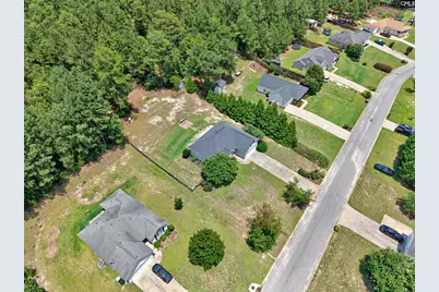 121 Farm Chase Drive, Lexington, SC 29073 - Photo 9