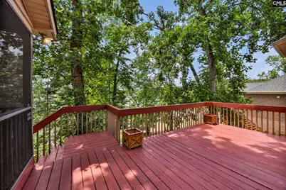 448 Lookover Pointe Drive, Chapin, SC 29036 - Photo 19