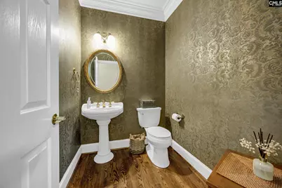 448 Lookover Pointe Drive, Chapin, SC 29036 - Photo 29