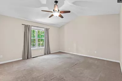 451 Smallwood Drive, Chapin, SC 29036 - Photo 17