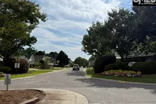 176 Mariscat Pl, Lexington, SC 29073 - Photo 31