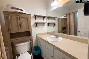 176 Mariscat Pl, Lexington, SC 29073 - Photo 19