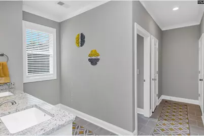 331 E Arrowleaf Lane, Elgin, SC 29045 - Photo 65