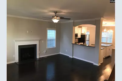 374 Hollow Cove Road, Chapin, SC 29036 - Photo 3