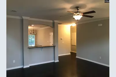 374 Hollow Cove Road, Chapin, SC 29036 - Photo 5