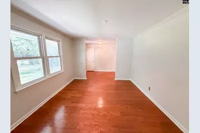 133 Snow Lane, Lexington, SC 29073 - Photo 9