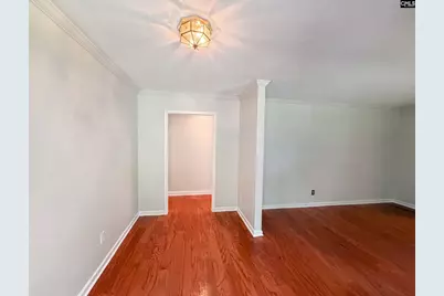 133 Snow Lane, Lexington, SC 29073 - Photo 7