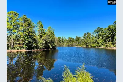 608 Thunder Gulch Avenue, Lexington, SC 29073 - Photo 31