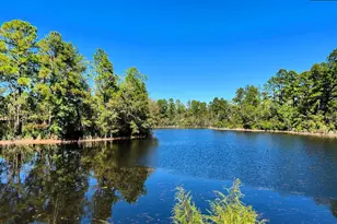 608 Thunder Gulch Ave, Lexington, SC 29073 - Photo 31