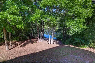 215 Sorrel Tree Drive, Columbia, SC 29223 - Photo 47
