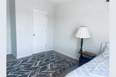 442 N Cobia Court, Irmo, SC 29063 - Photo 29