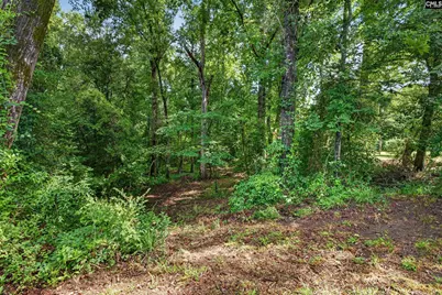 1611 Dixired Road, Leesville, SC 29070 - Photo 23