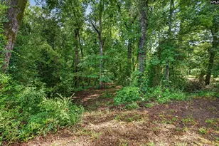 1611 Dixired Rd, Leesville, SC 29070 - Photo 23