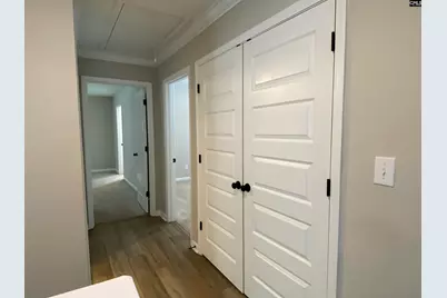 1116 Turtle Stone Road, Blythewood, SC 29016 - Photo 25