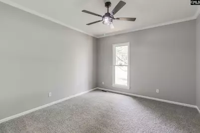 3 Foxfield Lane, Blythewood, SC 29016 - Photo 29