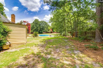 3 Foxfield Lane, Blythewood, SC 29016 - Photo 37