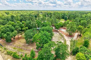 1377 Pine Rd, Camden, SC 29020 - Photo 19