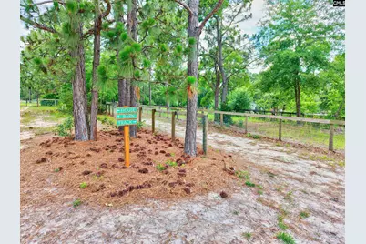 1377 Pine Road, Camden, SC 29020 - Photo 15