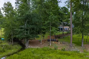 408 Lookover Pointe Rd, Chapin, SC 29036 - Photo 7