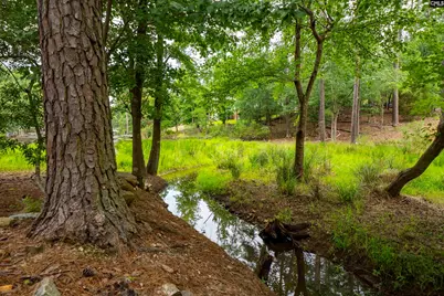 408 Lookover Pointe Road, Chapin, SC 29036 - Photo 63