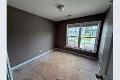 344 Louisa Lane, Lexington, SC 29073 - Photo 7