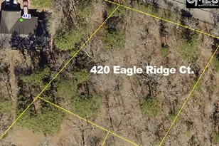 420 Eagle Ridge Ct, Gaston, SC 29053 - Photo 1