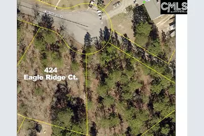 424 Eagle Ridge Court, Gaston, SC 29053 - Photo 1