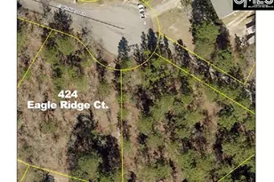 424 Eagle Ridge Ct, Gaston, SC 29053 - Photo 1