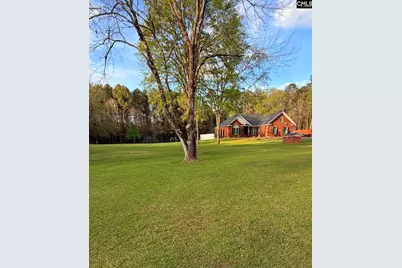 1504 Old Hilton, Chapin, SC 29036 - Photo 3