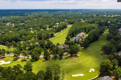 784 Coriander Road, Blythewood, SC 29016 - Photo 89