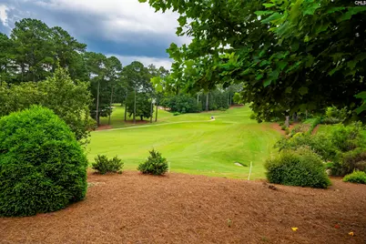 784 Coriander Road, Blythewood, SC 29016 - Photo 85