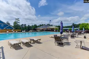 641 Timberlake Dr, Chapin, SC 29036 - Photo 69