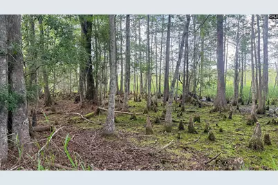 00 Goldenrod Drive, Barnwell, SC 29812 - Photo 13