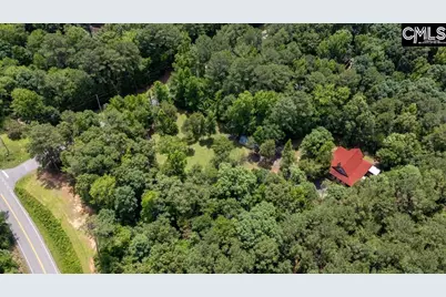 100 Seven Drive, Chapin, SC 29036 - Photo 53