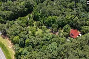 100 Seven Dr, Chapin, SC 29036 - Photo 53